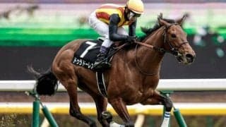 【毎日杯枠順確定】ドゥラドーレスは1枠1番、コマンドラインは2枠2番