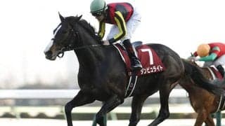 【JRA】古豪ダンビュライトが引退、乗馬に　2018年AJCC、2019年京都記念覇者