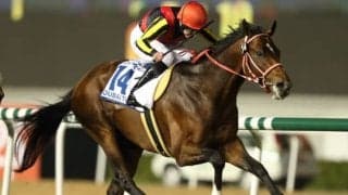 【ドバイターフ予想】強烈な血統バイアスが働くレース、5回連続でディープインパクト産駒が連対中