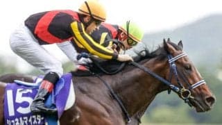 【ドバイターフオッズ】シュネルマイスターが1番人気　カーネルリアム・ロードノースが続く