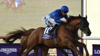 【ドバイSCオッズ】ユビアーが1番人気 日本ダービー馬シャフリヤールは2番人気