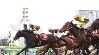 ダンビュライトが競走馬登録抹消