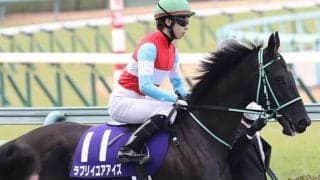 【桜花賞】阪神JF2着ラブリイユアアイズは坂井瑠星騎手と新コンビ