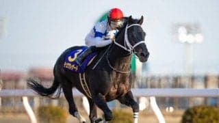 【今日の注目ポイント】夜のドバイWCデーに日本馬22頭参戦　国内では日経賞と毎日杯