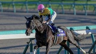 【日経賞予想】天皇賞・春へのステップレース 長く良い脚を使える馬に注目