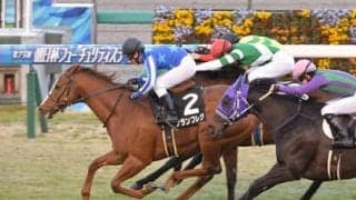 高松宮記念、現役屈指の追い込み馬に一発の可能性。マイル実績馬が優位も波乱を起こせるか