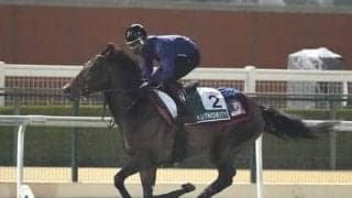 ドバイＷＣデーは日本馬の状態に不安なし。馬券が買える４レースで狙いたい穴馬もピックアップ