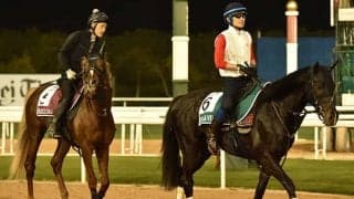 【ドバイWCデー】メイダン競馬場の馬場状態は芝ダートとも良