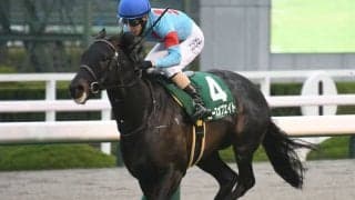 【毎日杯結果】ピースオブエイトが逃げ切り無傷3連勝で重賞V