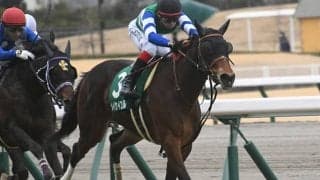 【高松宮記念予想】メイケイエールが消去データに該当、スプリンターズSで4着の実績も…