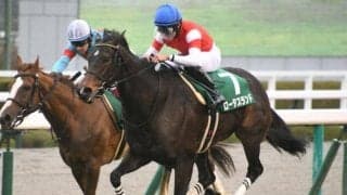 【高松宮記念】ロータスランド辻野師「ソフトな馬場のほうがパフォーマンスを発揮できる」/ねぇさんのトレセン密着