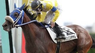 【地方競馬】プリンニシテヤルノが佐賀の東眞市厩舎に移籍