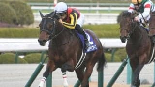 【高松宮記念】グレナディアガーズ中内田師「(身体と心が)噛み合ったときは凄いパフォーマンスをしてくれる」/ねぇさんのトレセン密着