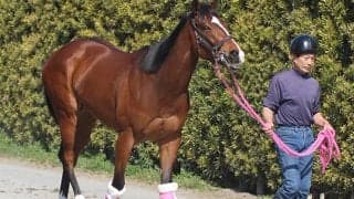 【高松宮記念】レシステンシア松下師「もう一つタイトルをとりたい」/ねぇさんのトレセン密着