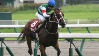 【高松宮記念前日オッズ】レシステンシアが2.9倍で1番人気