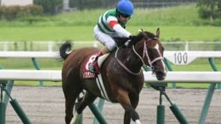 【WIN5予想】高松宮記念は馬齢や枠順が明暗を分けそう