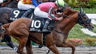 【マーチS予想】昨年好走もデータには抗えない!? 6歳馬がレースの主役も…