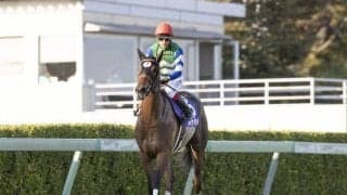 【高松宮記念】メイケイエール武英智師「なんとか結果を出したい」/ねぇさんのトレセン密着