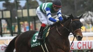 【今日の注目ポイント】春のスプリント王決定戦・高松宮記念、中山ではマーチS