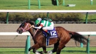 【高松宮記念予想】スピード自慢が集う春のスプリント王決定戦 栄光を手にするのはどの馬か