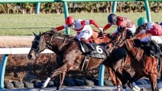 【マーチステークス予想】1番人気は来ない？ 今年の勝ち馬はいかに