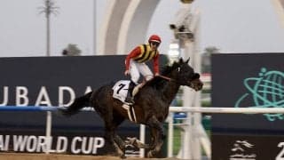 【UAEダービー】新谷師「理想通りの競馬をしてくれました」クラウンプライドが快勝