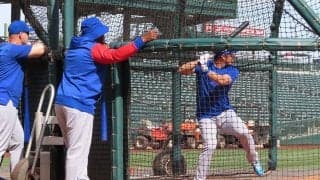 【MLB】鈴木誠也は「カブスユニが似合っていた」　指揮官が高評価した“空振りしない打撃”