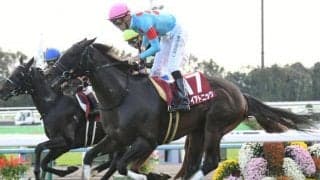 【高松宮記念】1番人気馬はさほど活躍しないGI？ 3連系の馬券軸なら〇番人気馬から狙え？
