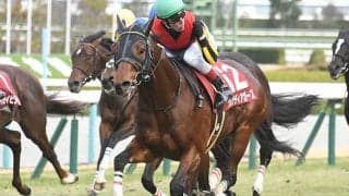 【AI予想・高松宮記念】スプリント界に「新王者誕生」か!? 本領発揮で勢力図を塗り替える可能性