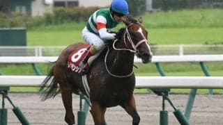 【高松宮記念 13時時点オッズ】レシステンシアが単勝2.4倍の1番人気、グレナディアガーズが5.9倍で続く