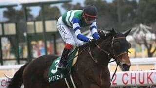 【高松宮記念・馬体重】メイケイエールは468(-4)kg、レシステンシアは516(+18)kg