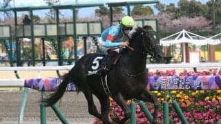 【大寒桜賞結果】ブラックブロッサムが8馬身差突き放してデビュー2連勝