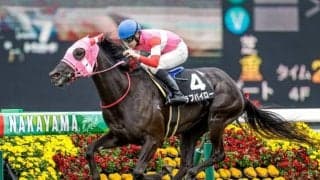 【ミモザ賞結果】ブービー人気のラブパイローが鮮やかに逃げ切る