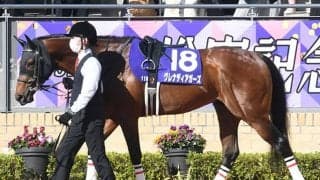 【高松宮記念】ベストターンドアウト賞はグレナディアガーズが受賞