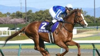 【高松宮記念】売上は156億8378万2900円で昨年からおよそ23億円の増加