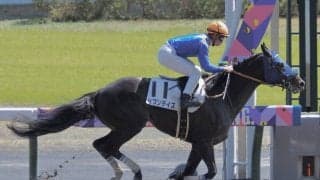 【中京6R】セブンデイズが8馬身差で初勝利