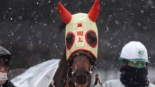 【大井・京浜盃】プライルードは7枠8番、メンタイマヨは8枠10番/地方競馬枠順