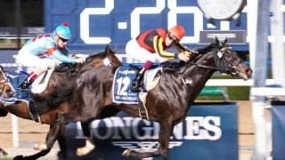 【ドバイシーマクラシック】藤原英師「馬も騎手もパーフェクト」レース後関係者コメント