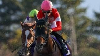 【ドバイゴールデンシャヒーン】川田「直線は素晴らしい走り」レース後関係者コメント