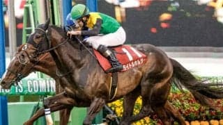 【日経賞】売上は43億1665万4900円で昨年からおよそ7千万円の増加