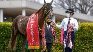 【マーチS】売上は33億8513万円で昨年からおよそ3.4億円の減少