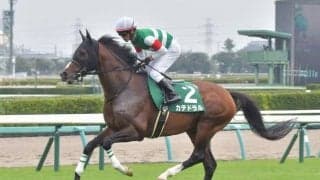 【ダービー卿CT見どころ】カテドラルの重賞2勝目なるか