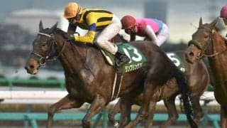 【先週のJRA抹消馬】昨年のVM2着ランブリングアレー、10歳馬オールマンリバーなど