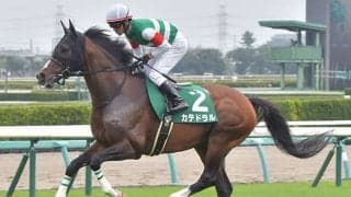 【ダービー卿CT想定騎手】カテドラルは戸崎圭太騎手、ザダルはC.ルメール騎手