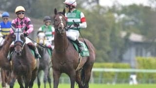 【ダービー卿CTハンデ確定】カテドラルは57.0kg、ザダルは58.0kg