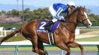 【高松宮記念】GI初制覇のナランフレグ 日本競馬の歴史詰まった牝系