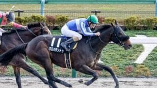 【コーラルSハンデ確定】クロパラントゥは54.0kg、スリーグランドは56.0kg