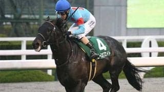 【毎日杯】逃げ切ったピースオブエイト！ヨーロッパ血統もポジティヴに作用