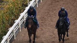 リアリーホットなど、先週の入厩情報/栗東トレセンニュース