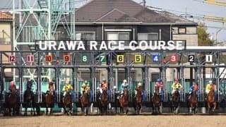 【地方競馬】浦和競馬でウクライナ避難民への支援レースを実施